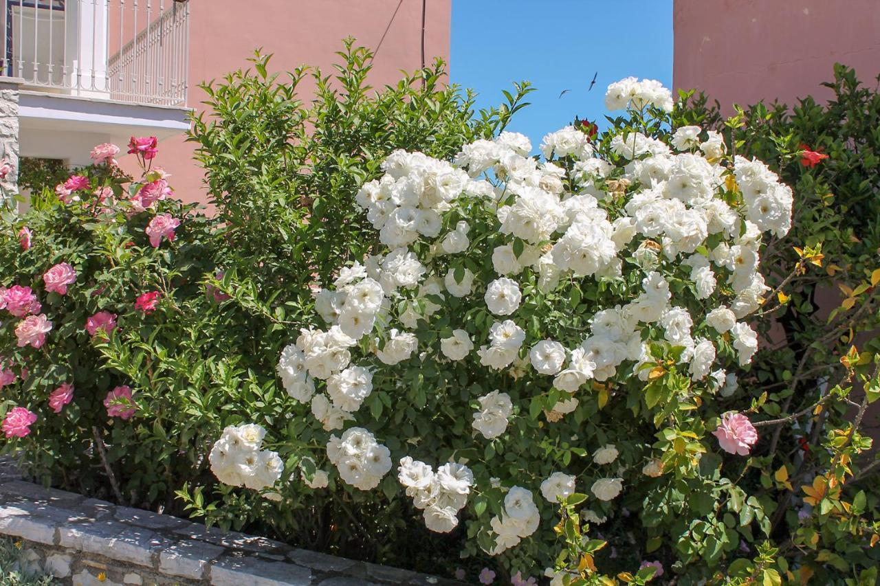 Nikolas House غماري المظهر الخارجي الصورة